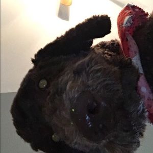 Meet your Posher, Claire