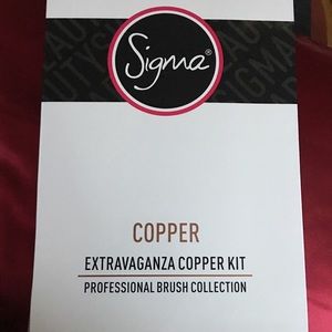 Sigma 29 piece brush set