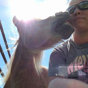 Meet your Posher, Corey