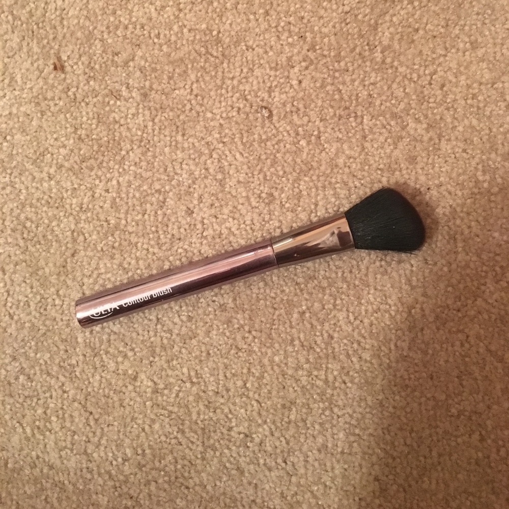 Ulta Blush brush.