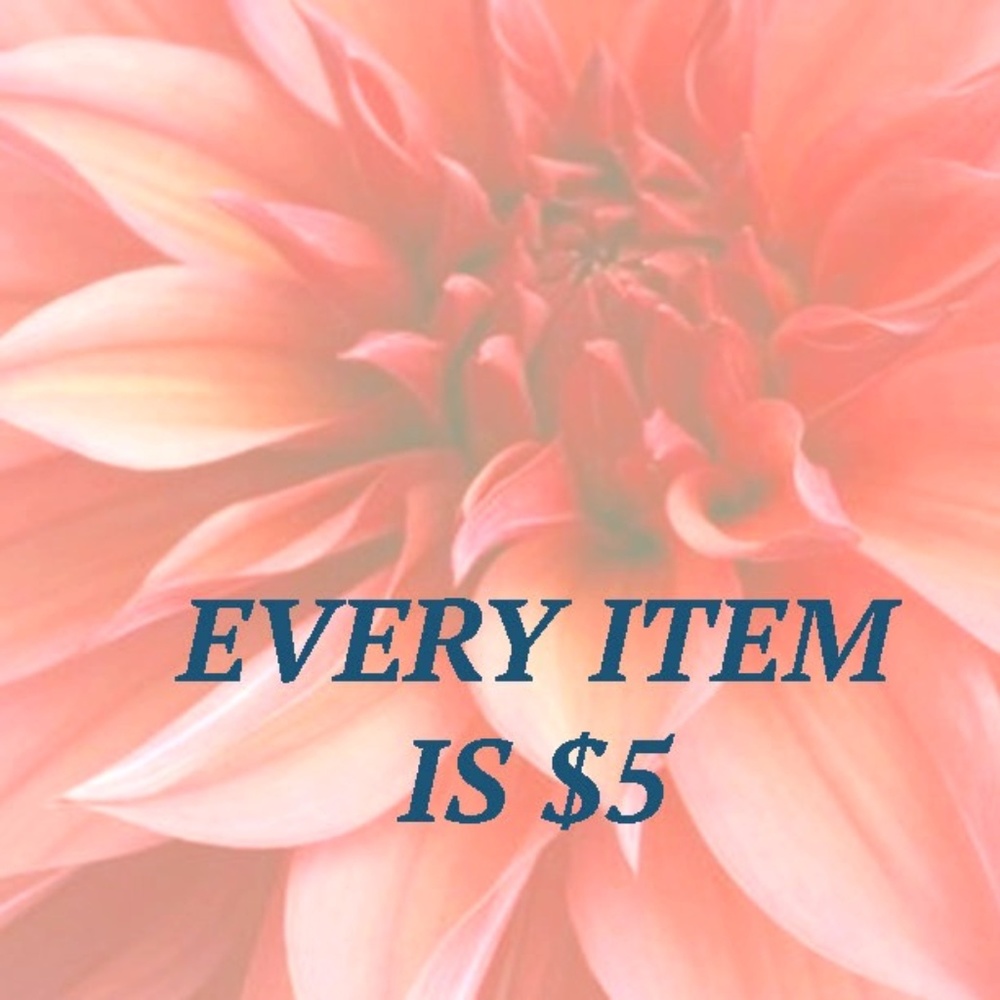 EVERY ITEM IS $5 for the next 50 minutes!!!
