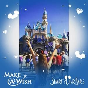 Meet your Posher, Magdalena