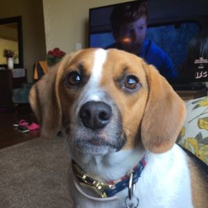 Meet your Posher, Hayley