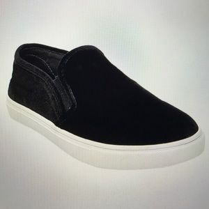 Steve Madden Ecntrcv
