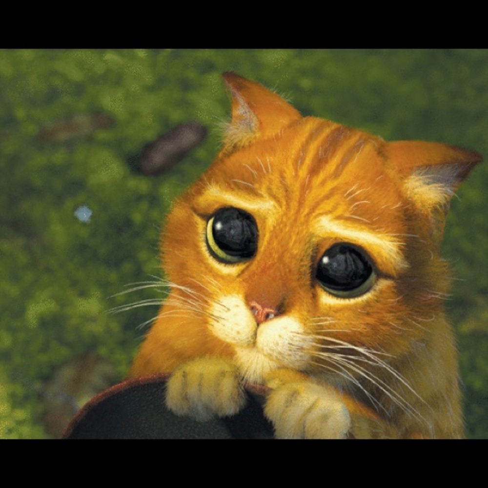 Meet your Posher, Andrew