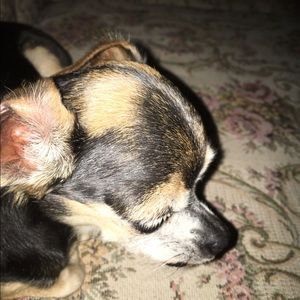 Meet your Posher, Itzel