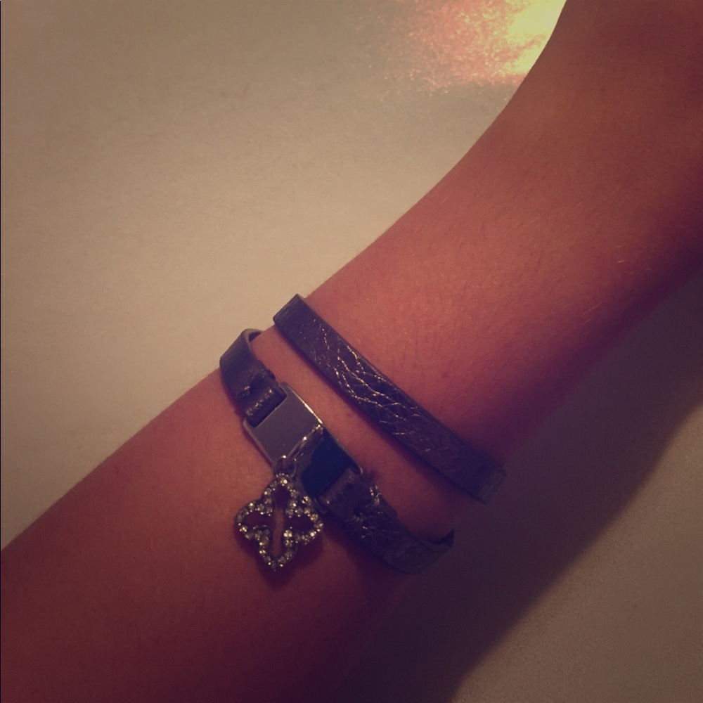 Interchangeable bracelet/necklace