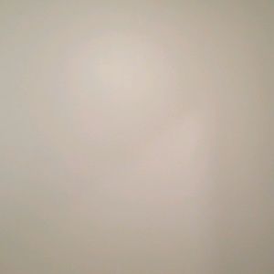 Meet your Posher, Aviva