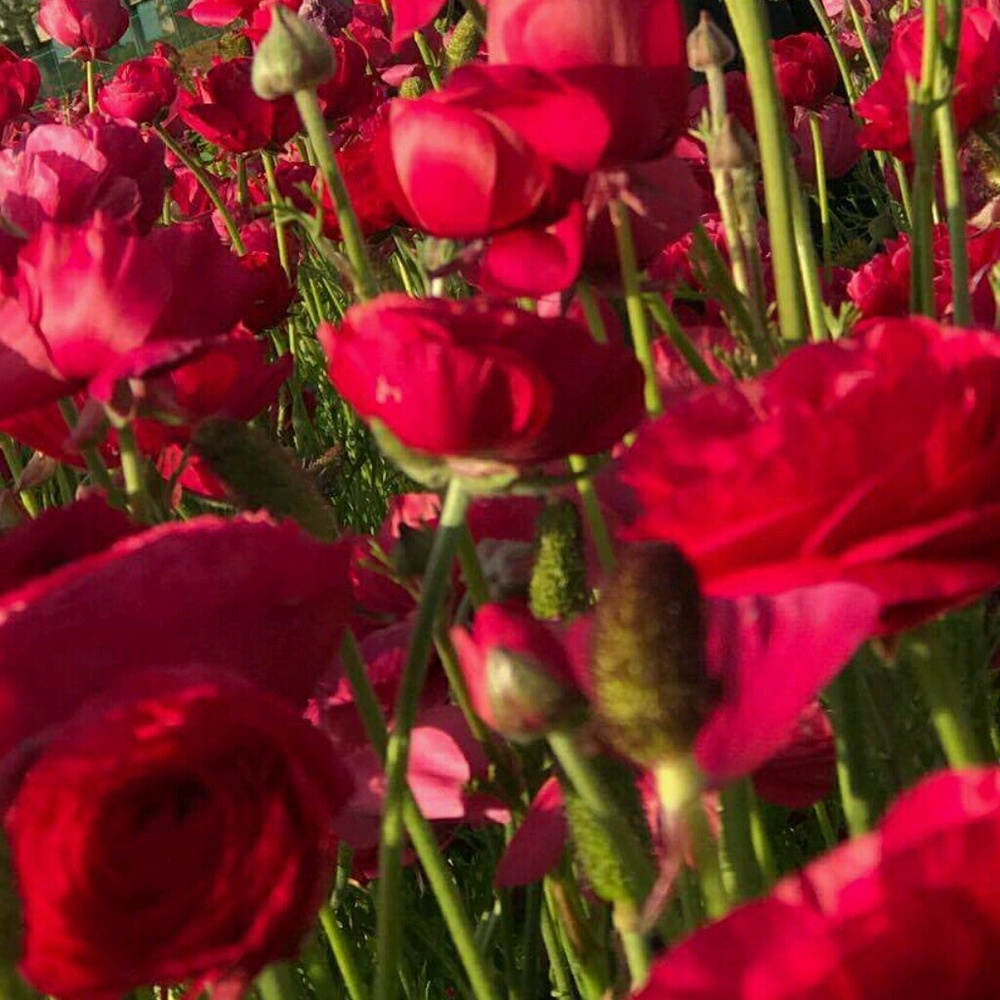 Meet your Posher, Tim