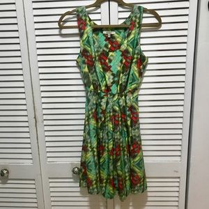 BB Dakota silk dress size XS