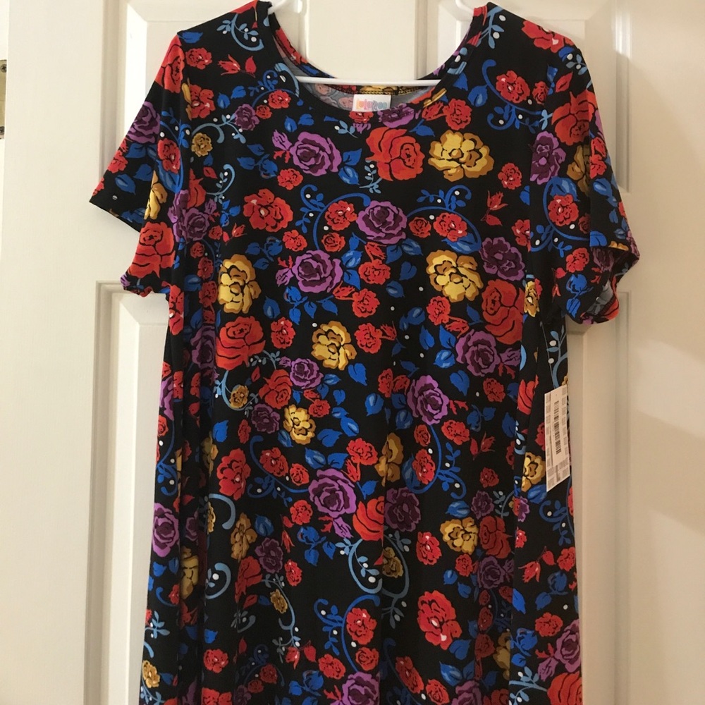 LuLaRoe Carly size Large.