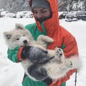 Meet your Posher, Glant