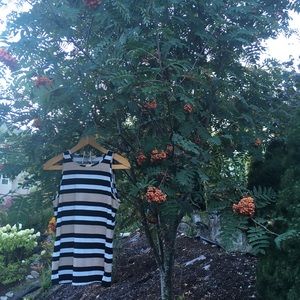 Banana Republic Striped Tank