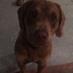 Meet your Posher, Fredo