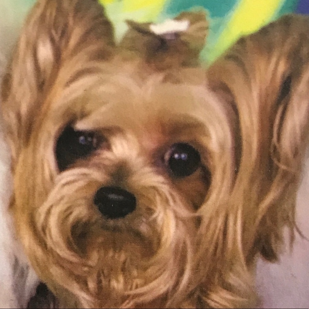 Meet your Posher, Jill