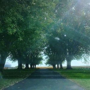 Meet your Posher, Grace