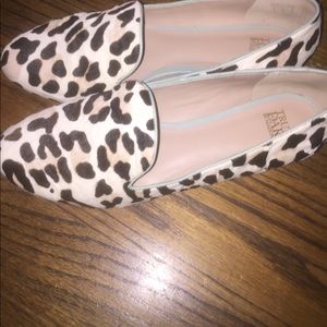 Snow leopard flats