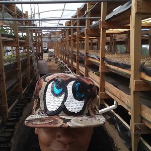 Meet your Posher, Lakeisha