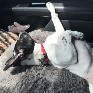 Meet your Posher, Sarah