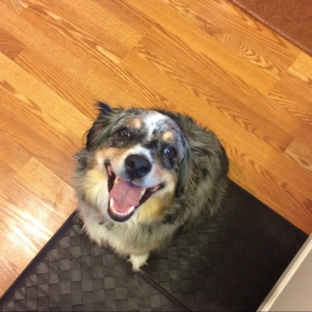 Meet your Posher, Tarah