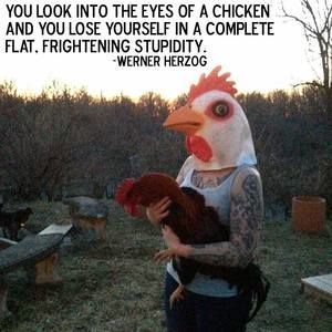 Meet your Posher, Christine