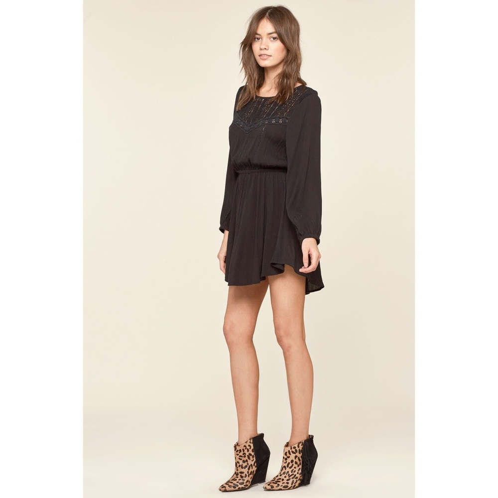 *LAST ONE* NWT Portia Dress by Amuse Society - Picture 3 of 4
