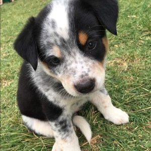 Meet your Posher, Maranda