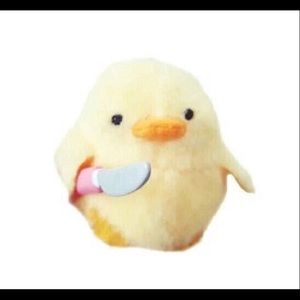 Meet your Posher, Benjamin