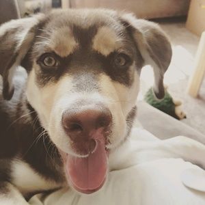 Meet your Posher, Krystal