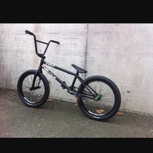 Meet your Posher, Kylee