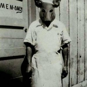 Meet your Posher, Tedd