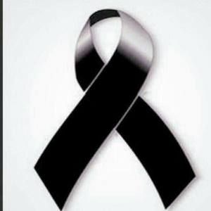 Meet your Posher, Katty