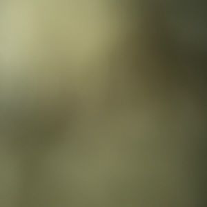 Meet your Posher, Cam