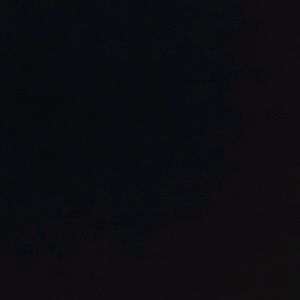 Meet your Posher, Fred