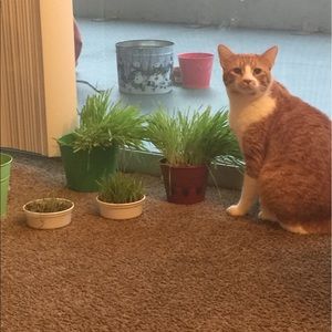 Meet your Posher, Matthew