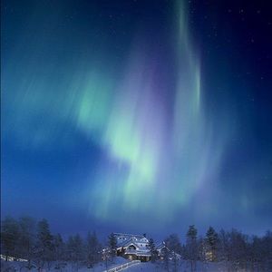 Meet your Posher, Mayanin