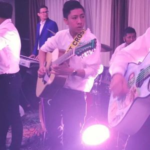 Meet your Posher, Ernesto