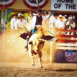 Meet your Posher, Tylor