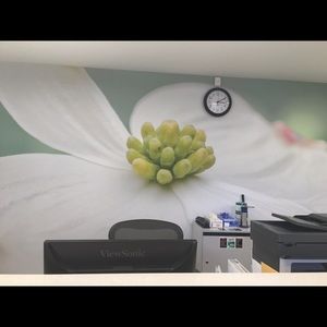 Meet your Posher, Josefina