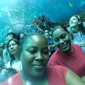 Meet your Posher, Davina