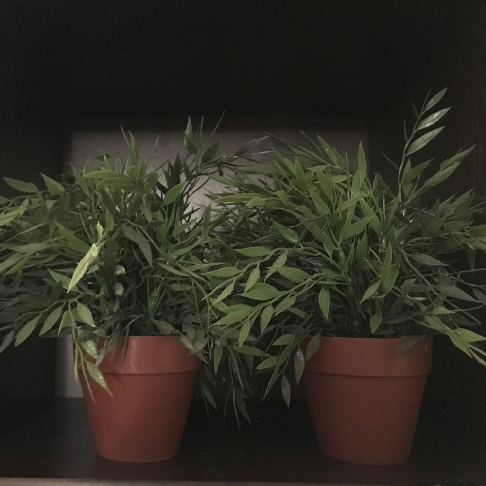 IKEA faux potted plants - 2