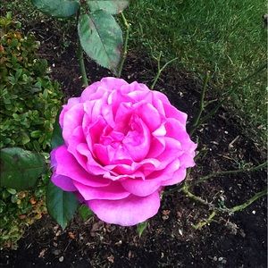 Meet your Posher, Fatima