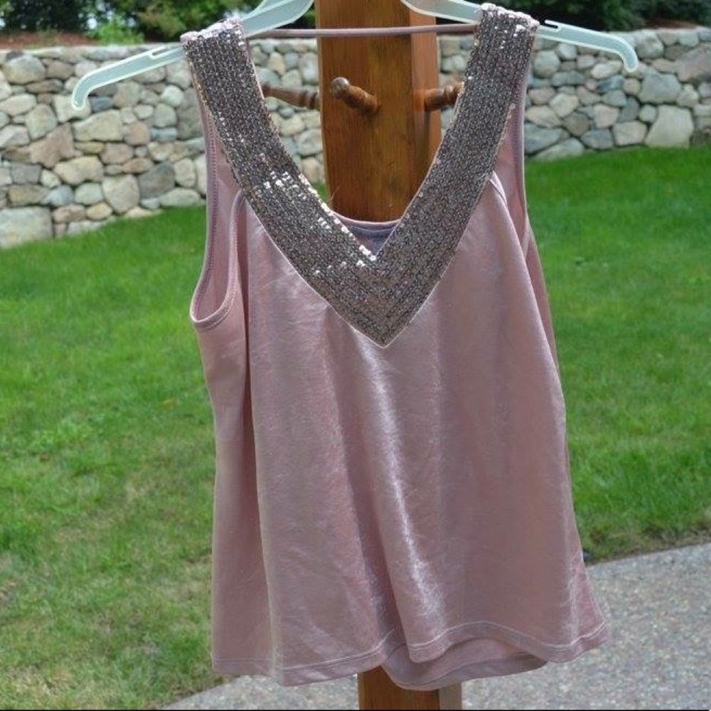 Charolette russe v neck top- Final Price 🎊