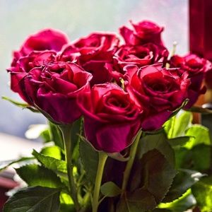 Meet your Posher, Carolym