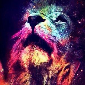 Meet your Posher, Db