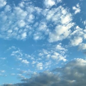 Meet your Posher, Jose