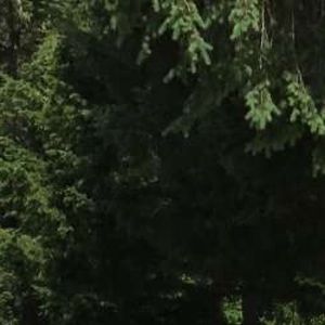 Meet your Posher, Perry