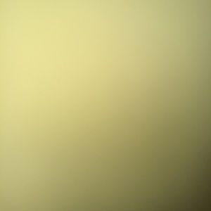 Meet your Posher, Leon