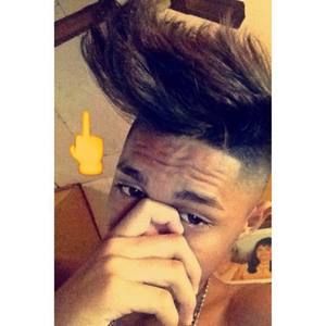 Meet your Posher, Oscar