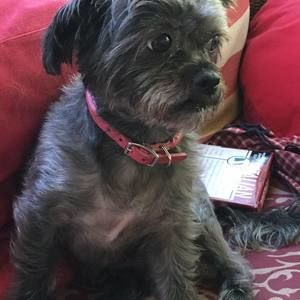 Meet your Posher, Laura